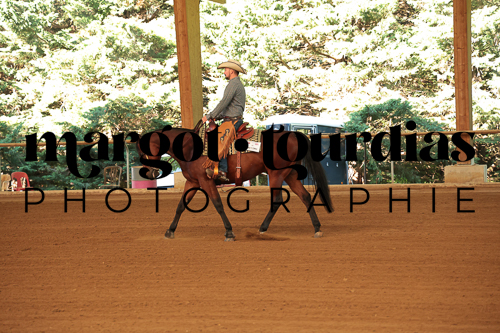 Photo de l'album
