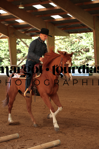 Photo de l'album