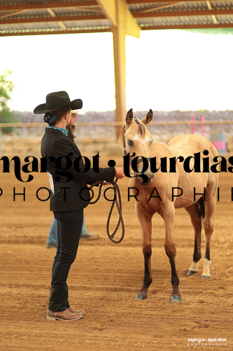 Margot Tourdias Photographie