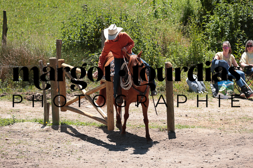 Photo de l'album