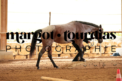 Margot Tourdias Photographie