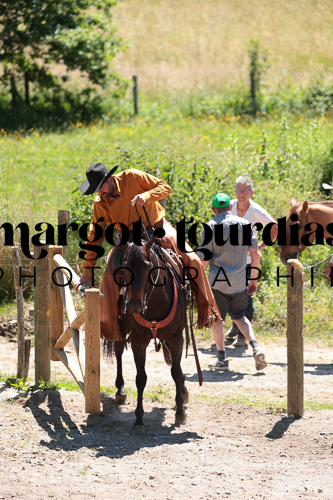 Photo de l'album