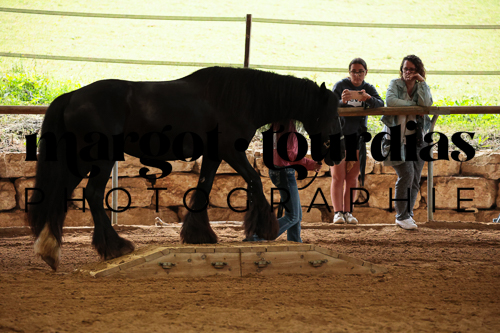 Margot Tourdias Photographie