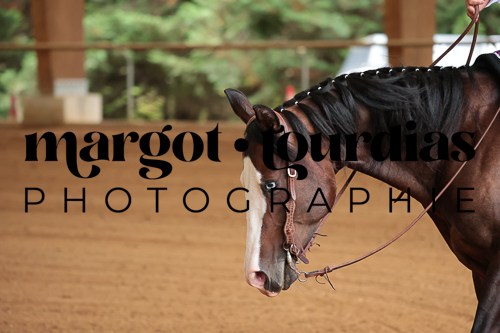 Margot Tourdias Photographie