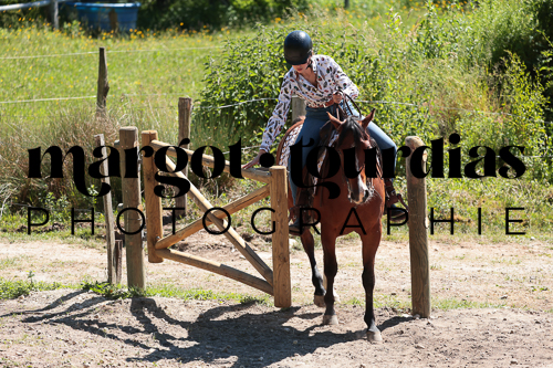 Photo de l'album