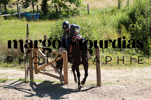 Photo de l'album