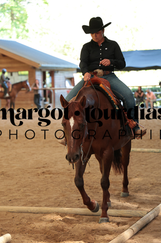 Photo de l'album