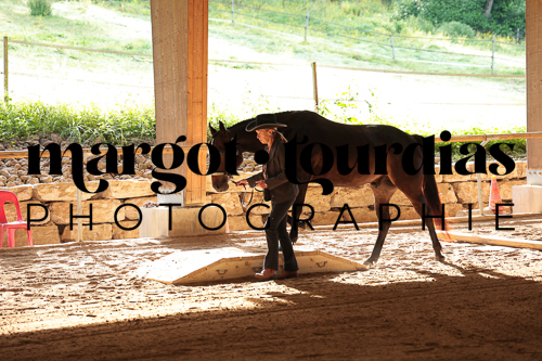 Photo de l'album