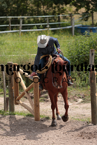 Photo de l'album